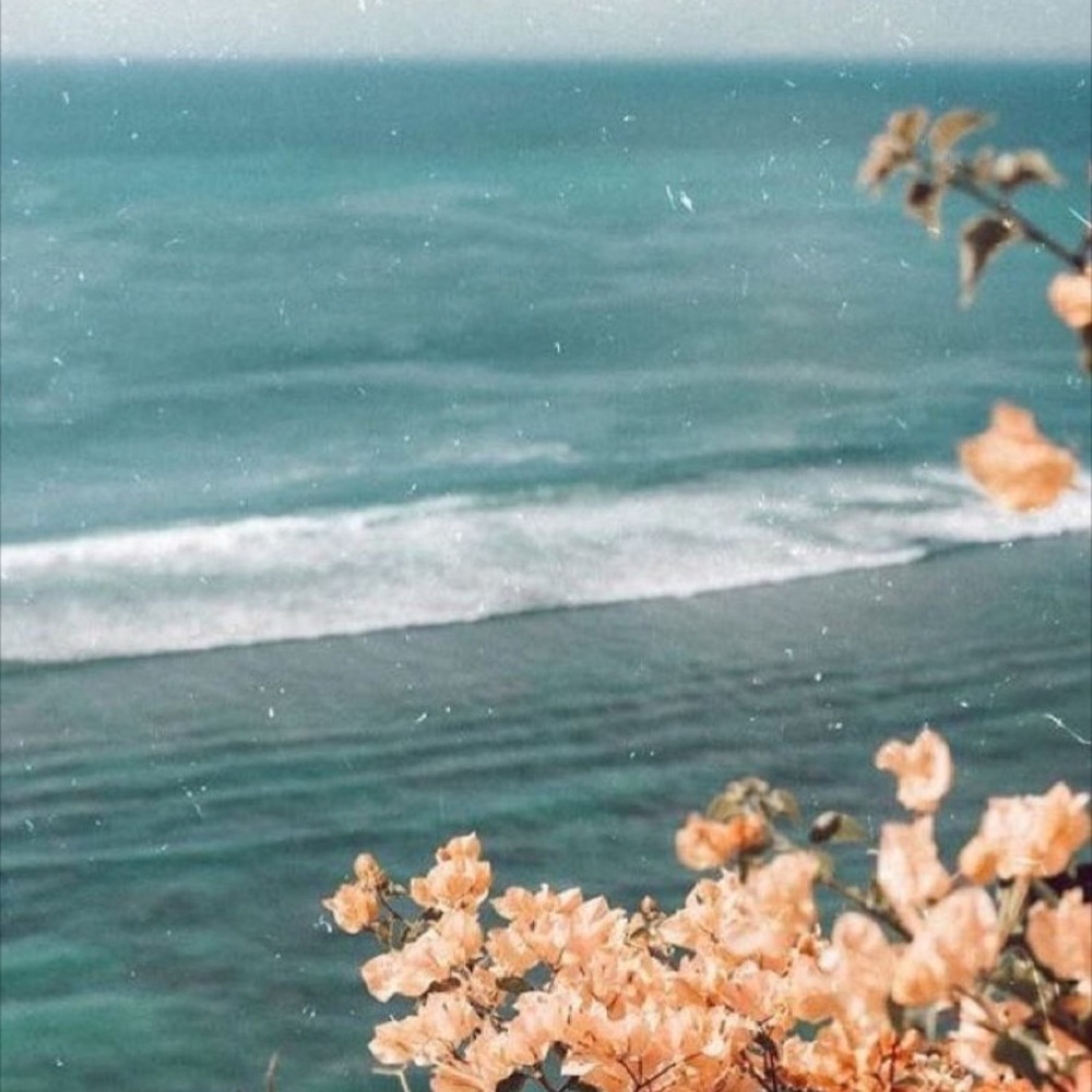 Meet your Posher, Abbey